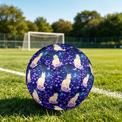 1pc Night Garden Cat Theme Soccer Ball Football, Size 5, Lightweight PVC, Durable Outdoor Training Soccer Ball, Gift M61480