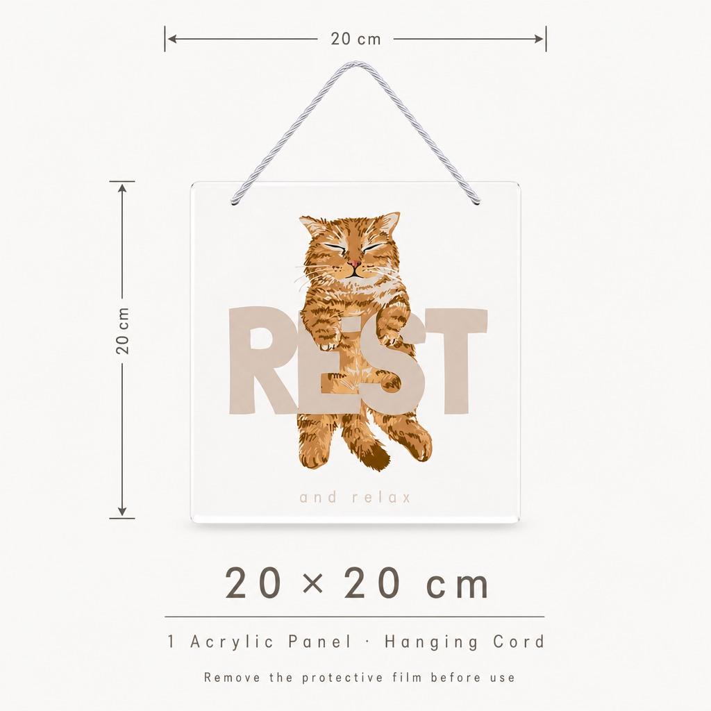 Square Clear Acrylic Wall Plaque Cat Art 20x20cm Smooth Edge Hanging Sign Home Decoration