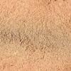 Authentic Natural No Additives Western Australia Old Mountain Sandalwood Powder Home Office Temple Soothing Mind Purifying Air