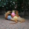 Cat Toys, Sisal Balls with Feathers, Durable Cat Bite, Rustling Teeth, Cat Teasing Balls, Cat Scratch Balls, Pet Supplies