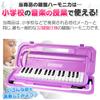 Hobinavi Keyboard Harmonica 32 Keys for Elementary and Children Lightweight Melody Winding Mouth Hose Table Play Standing Case Name Sticker School,