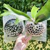 Hollowed Planting Cover Replaceable Floral Hole Cover  For Fern Phalaenopsis