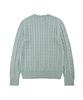 BROOKS BROTHERS Cotton Cable Crew Neck Sweater (Light Green) (Bbwtmf8407Hes)