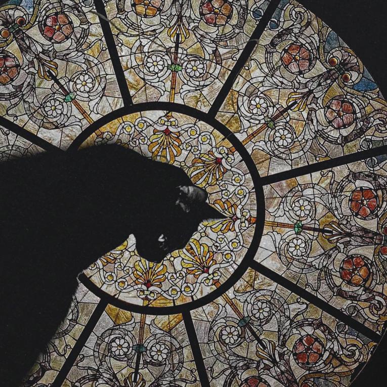 Уличная футболка с рисунком «Таинственный кот» — фото 3