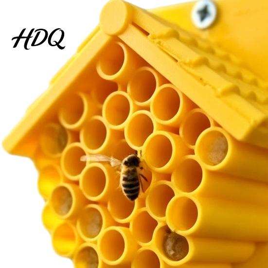 Umweltfreundliches Bienenhaus 2 Stück 3D-gedruckte Häuser Gelbe Wabenhotels Außenhaus