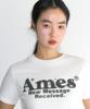 AMES-WORLDWIDE Round Hem Crop Tee White