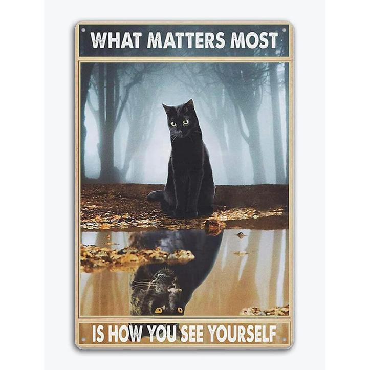 Fmcmly I Do What I Want Funny Black Cat Decor Tin Signs Cute Cat Personalized Metal Poster Wall Art Decor Sign for Home Bathroom Garden Restroom