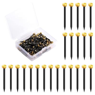 50/100Pcs Picture Hanging Nails with Storage Box Rustproof Corrosion Resistant Easy