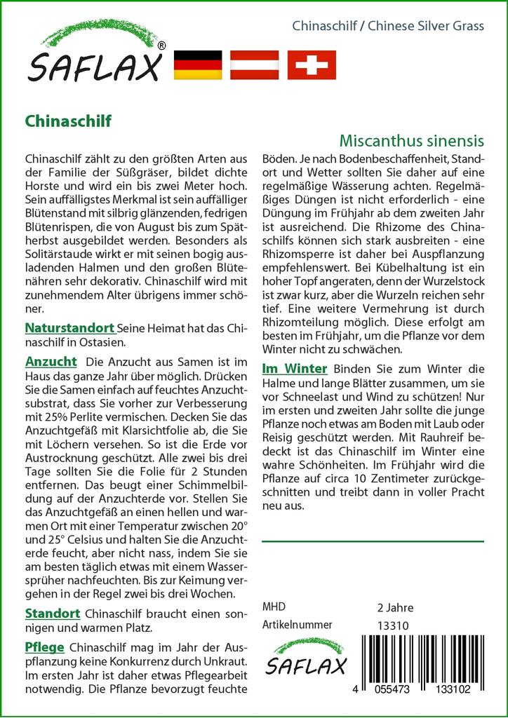 SAFLAX Stříbrná tráva čínská - 200 semen - Miscanthus sinensis