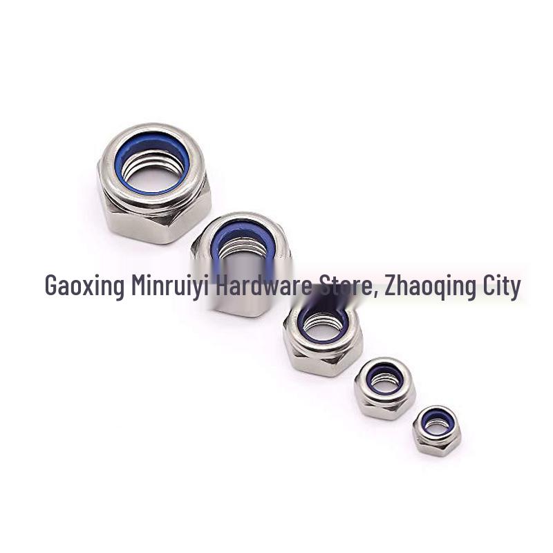 304 Stainless Steel Nylon Insert Self-Locking Hex Nut (M2-M12)