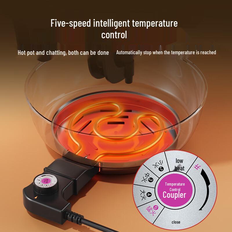 ZISIZ Multi-functional Electric Hot Pot with Divider