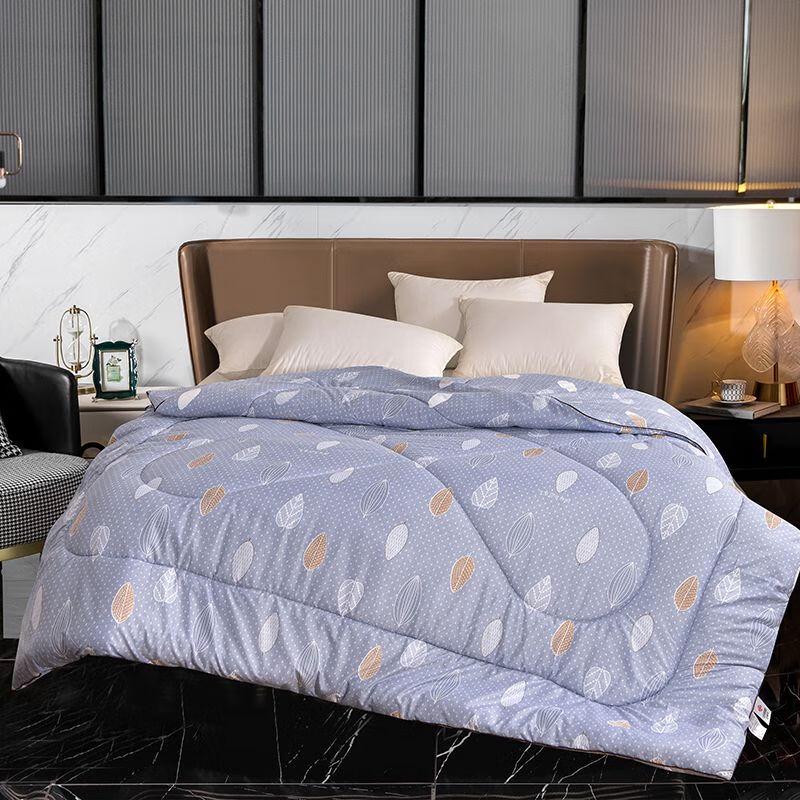 Jieliya All-Season Warm Quilt