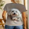 Smiling Little White Dog Printed Short Sleeve T-Shirt, Women'S Fashion Top, Women'S Summer Round Neck T-Shirt