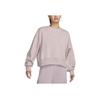Nike Solid Logo Round Neck Long Sleeve Sweatshirt Women Sweatshirt White Platinum Violet DQ5762-019
