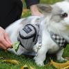 Portabil Dog Training Treat Bag În aer liber Pet Dog Treat Pouch Puppy Snack Reward Bag Talie Bag Dog Poop Bag Dispenser Pet Accessories