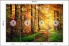 Photomural Forest Autumn Colors Smooth Vinyl 368x280