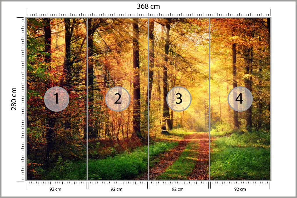 Photomural Forest Autumn Colors Smooth Vinyl 368x280