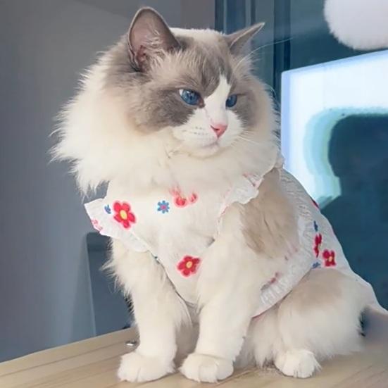 Summer Breathable Pet Clothes Flower Cherry Ice Cream Print Sleeveless Vest Pet Princess Skirt for Small Medium Girls Dogs Cats