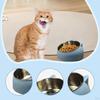 Raised Cat Bowl Anti Slip for Food Water Sleek Gift Pet Lover Sturdy Multiuse Stainless