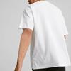 Puma Logo Print Solid Color Crew Neck Short Sleeve T-Shirt Men Tops White 538070-02