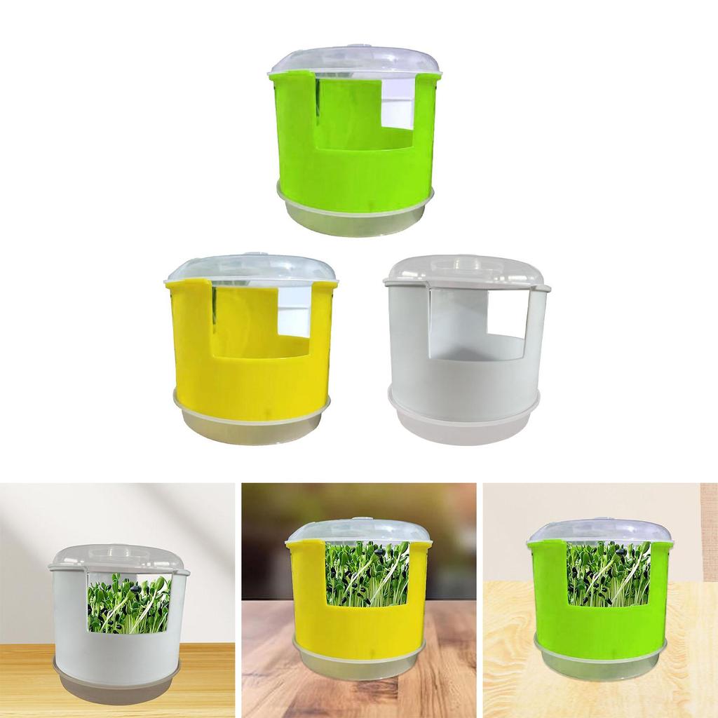 Seedling Sprouter Tray Large Capacity Multifunctional Nursery Tray Portable Planting Box Grower Sprouting Container for Pea Bean