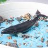 Children's Educational Marine Life Simulation Set: Megalodon, Hammerhead, Orca, and Whale Shark Toys
