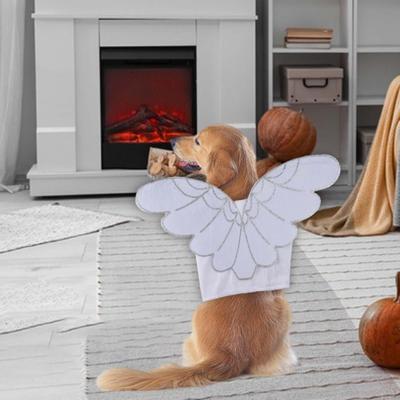 Giyim ve ayakkabı – Köpek Aksesuarları