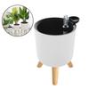 Self Watering Planters with Water Level Indicator for Indoor and Outdoor Use