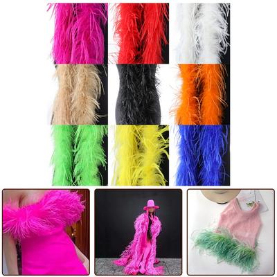 Feather Trim Scarf Add Glamour To Your Outfit with 2M Ostrich Feathers