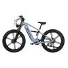 Nathaniel SYR-09 Electric Bike For Adult 1000W*2 Motor 48V 20Ah Battery 26 inch Off-Road Tire Electric Bicycle