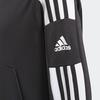 Adidas Grade School Sweatshirts Hooded Moderate GK9544