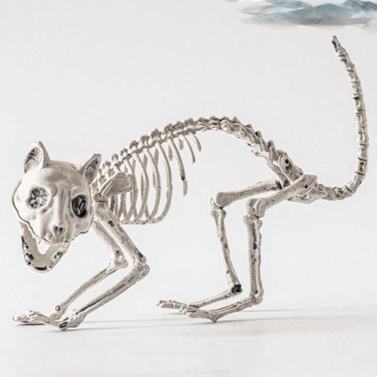 Halloween Skeleton Animal Decoration Creepy Cat/Dog/Bird/Rat/Goat Head Plastic Bones for Courtyard Graveyard Halloween Decor