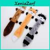 Interactive Pet Dog Toy Plush Squirrel Raccoon Chewable Teeth Grinding Skin Shell Pet Supplies Factory