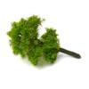Architectural Model tree Scenery Layout Green Plastic Accessories Wargame