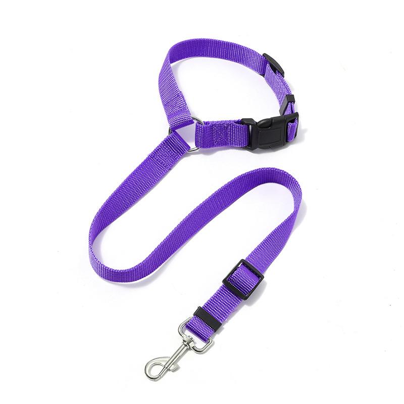 Pet car leash, dog car seat belt, ring safety rope, rear seat leash