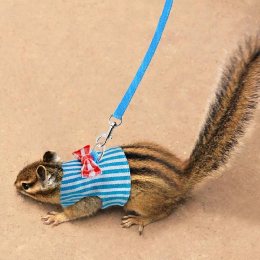 Mała Kamizelka Szelki i Smycz dla Królika, Fretek, Świnki Morskiej, Chomika, Szczeniaka Zestaw z Kokardką Szelki Piersiowe Akcesoria dla Zwierząt