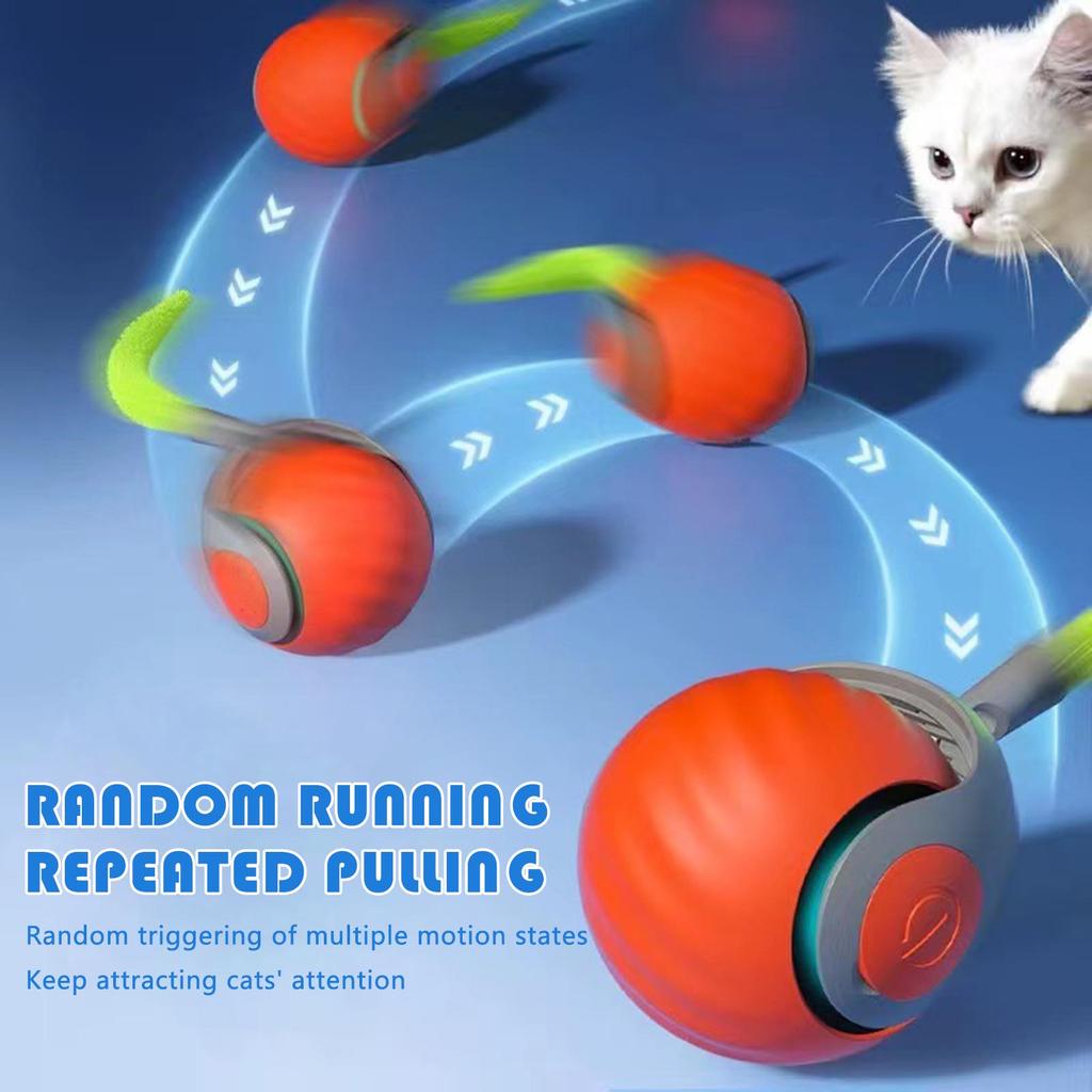 Interactive Cat Toys Ball Automatic Moving Pet Exercise Ball for Indoor Outdoor Cats Self Play