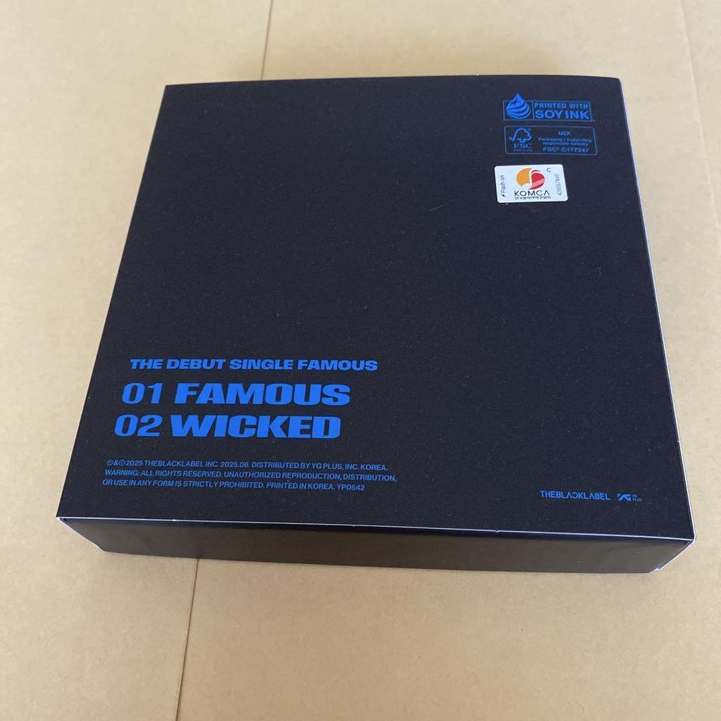 [USED] ALLDAY PROJECT FAMOUS opened, no missing items.