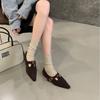 2025 New Pointed Inner Thick Heel Woolen One-word Buckle Versatile Commuter Soft Sole Foot Cover Women's Warm Single Shoes
