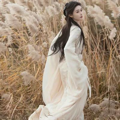 Women's Wei Jin Dynasty Hanfu Set – Ethereal Flowing Zhiju Robe Wide Sleeve Performance Costume