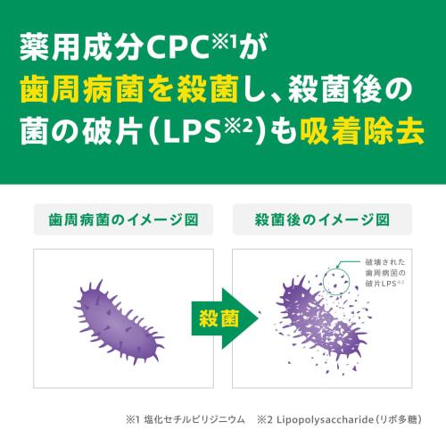 Gum and Dental Paste 120g ()