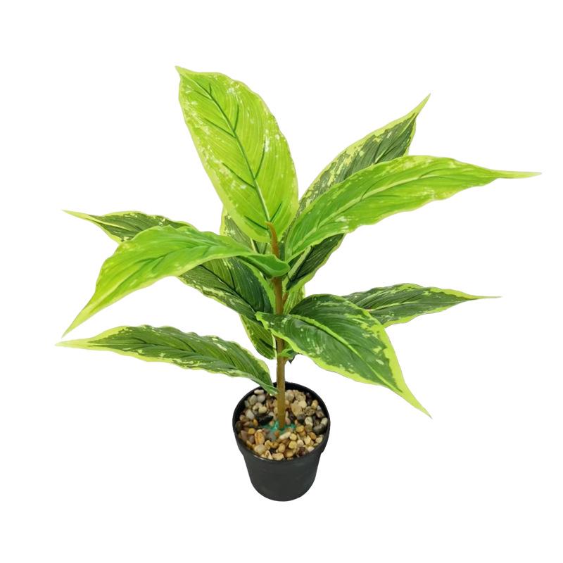 Desktop Rubber Tree & Aspidistra Potted Plant - Bionic Green Landscape Ornament