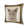 Cute Caroon Cat Portrait Photo Frame Art Pillow Case  Morden Pillow Cover Comfy Pillowcases For Living Room Bed Chair