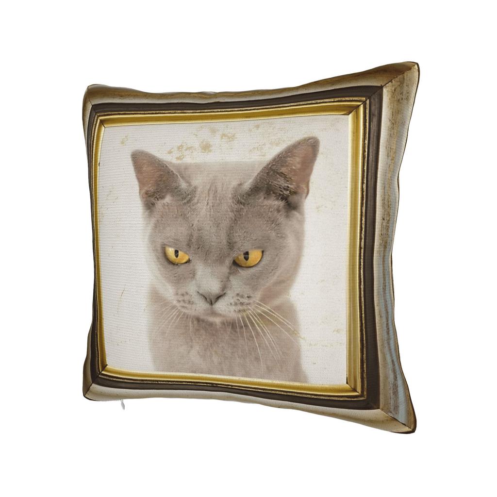 Cute Caroon Cat Portrait Photo Frame Art Pillow Case Morden Pillow Cover Comfy Pillowcases For Living Room Bed Chair
