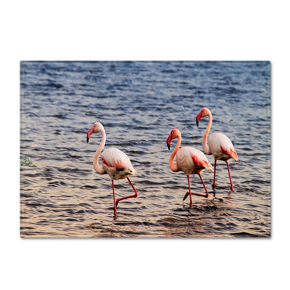 Flamingo Large Carpet Feather Wind Bedroom Floor Mat
