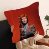 Hot Singer D-David B-Bowie pillow cover sofa cushion cover home room decoration children gift