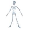 Décoration Halloween - AIMOONSA - Squelette d'Halloween lumineux - Plastique - 90 cm - Brille dans le noir (vert)