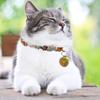 Bunter Spitzblumenkragen mit Glöckchen und Hundehalsband