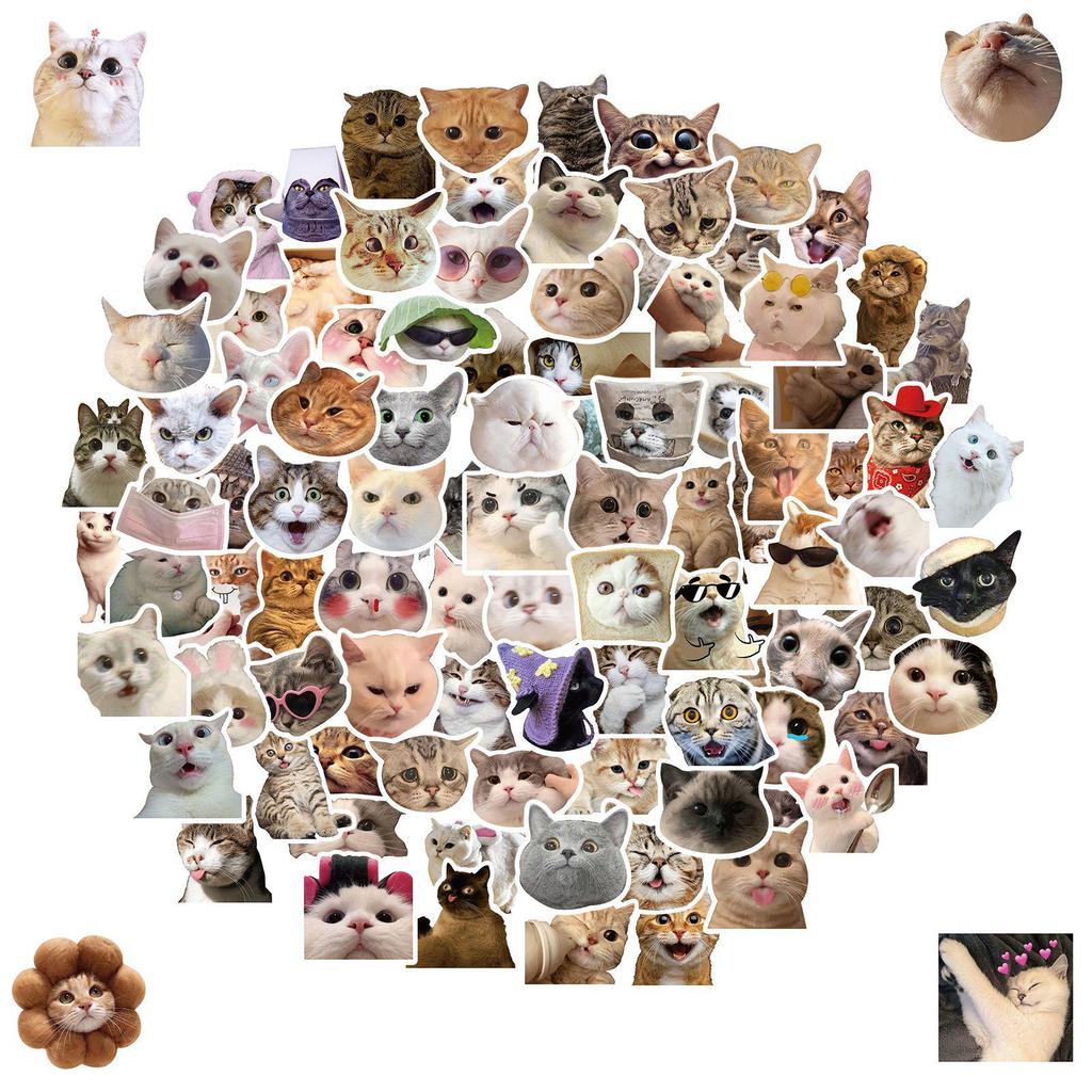 50 Sheets of Hilarious Cat Emoji Stickers - Cute & Funny Cat Head Designs