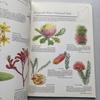 [USED] Wildflowers of Western Australia